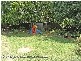 8 Walbrook Avenue, Springwood QLD 4127