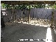 Springwood QLD 4127