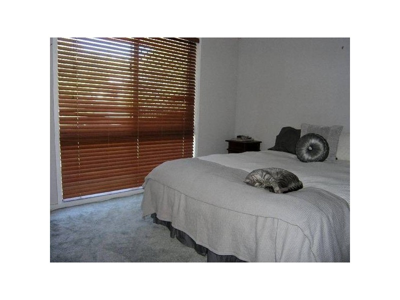 1 Artemis Court, Rochedale South QLD 4123