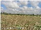 Loganholme QLD 4129