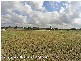 Loganholme QLD 4129