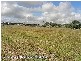 Loganholme QLD 4129