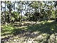 Rochedale South QLD 4123