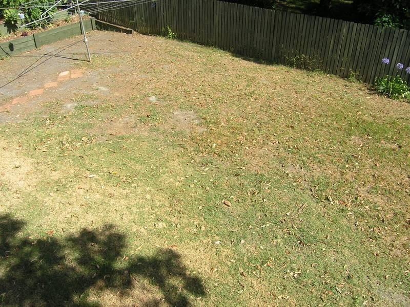 20 Gladewood Drive, Daisy Hill QLD 4127