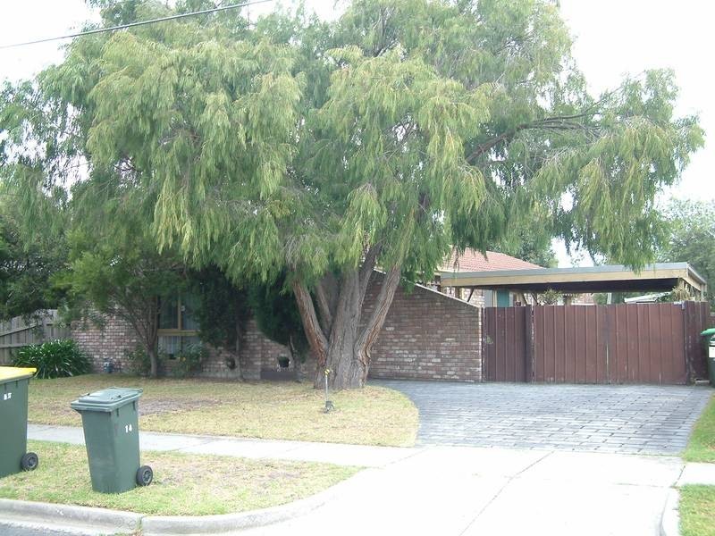 14 BRADSHAW STREET, Frankston VIC 3199