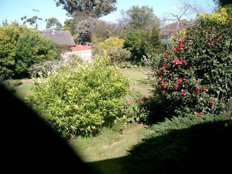 Mount Waverley VIC 3149