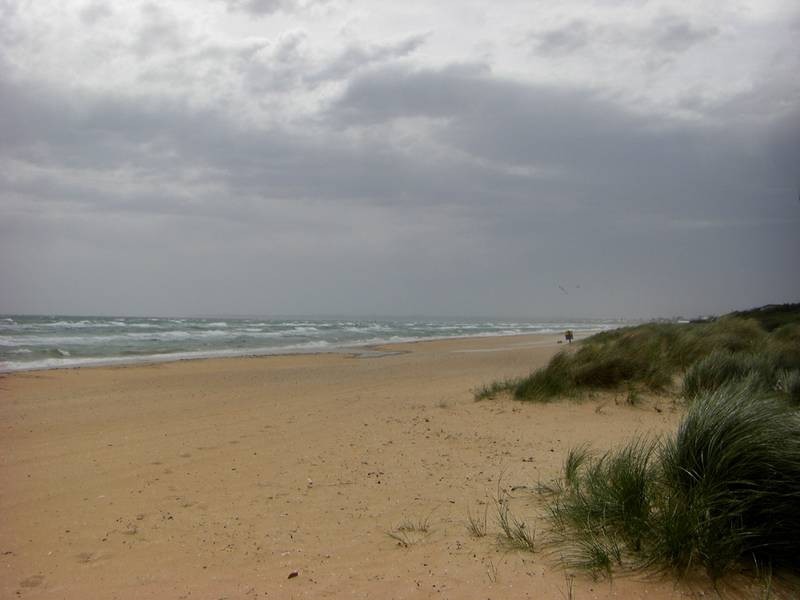 Aspendale VIC 3195