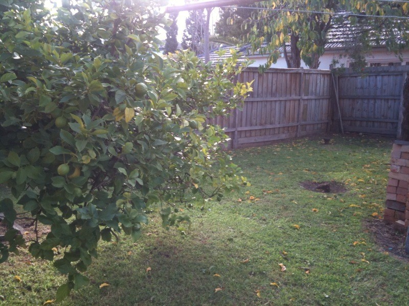 29 SURREY STREET, Bentleigh East VIC 3165