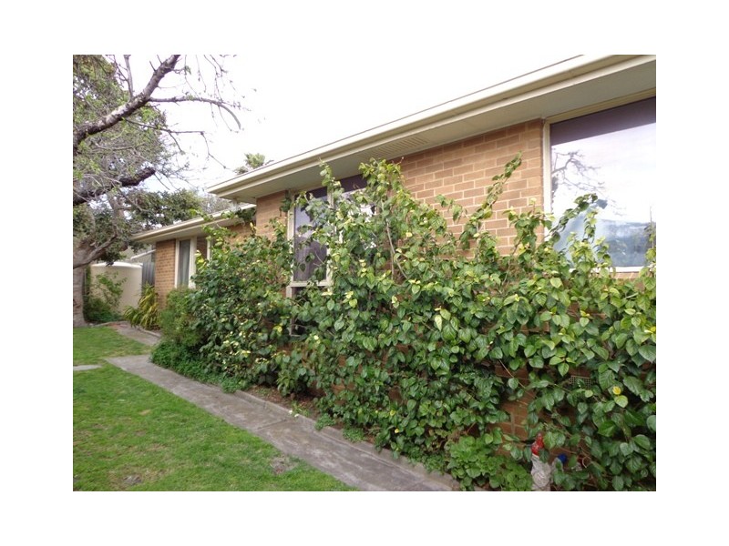 12B NAPLES ROAD, Mentone VIC 3194
