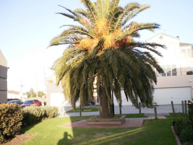 44 SCARBOROUGH DRIVE, Patterson Lakes VIC 3197