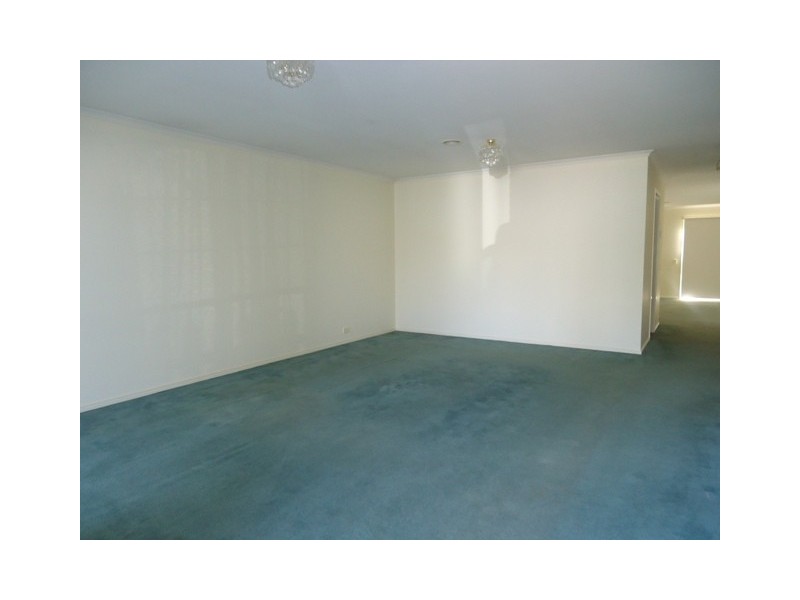 97 ALBERT STREET, Mordialloc VIC 3195