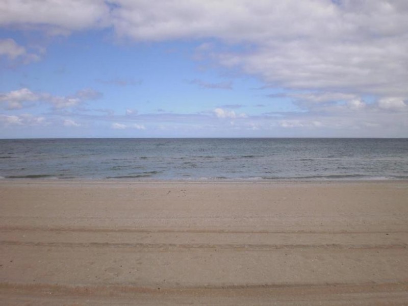 12 WALLUM ROAD, Edithvale VIC 3196