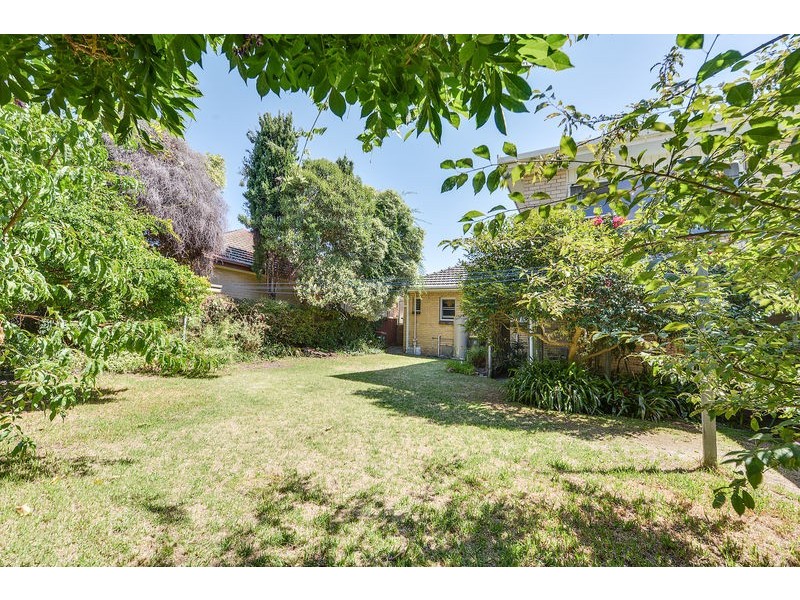 Bentleigh East VIC 3165