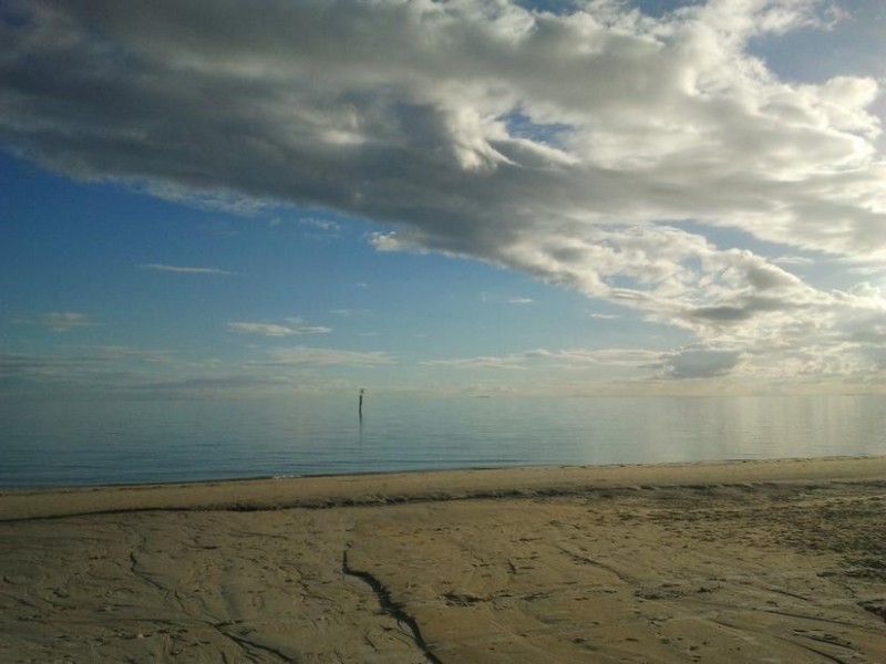 401B NEPEAN HWY, Chelsea VIC 3196