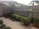 53 ALBERT STREET, Mordialloc VIC 3195