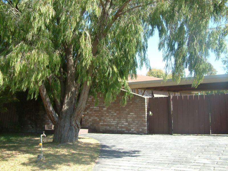 14 BRADSHAW STREET, Frankston VIC 3199