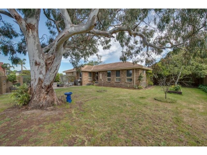 Dingley Village VIC 3172