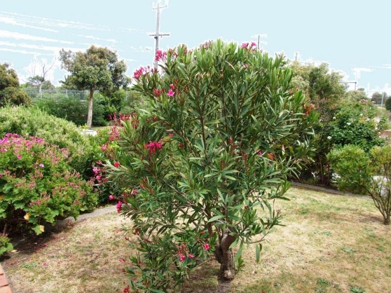 1/5 ALBERT STREET, Mordialloc VIC 3195