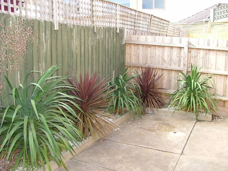 8/137 BEACH ROAD, Parkdale VIC 3195