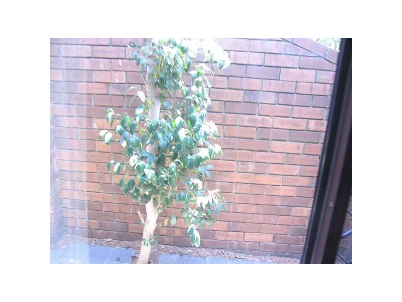 2/460 COMO PARADE WEST, Parkdale VIC 3195