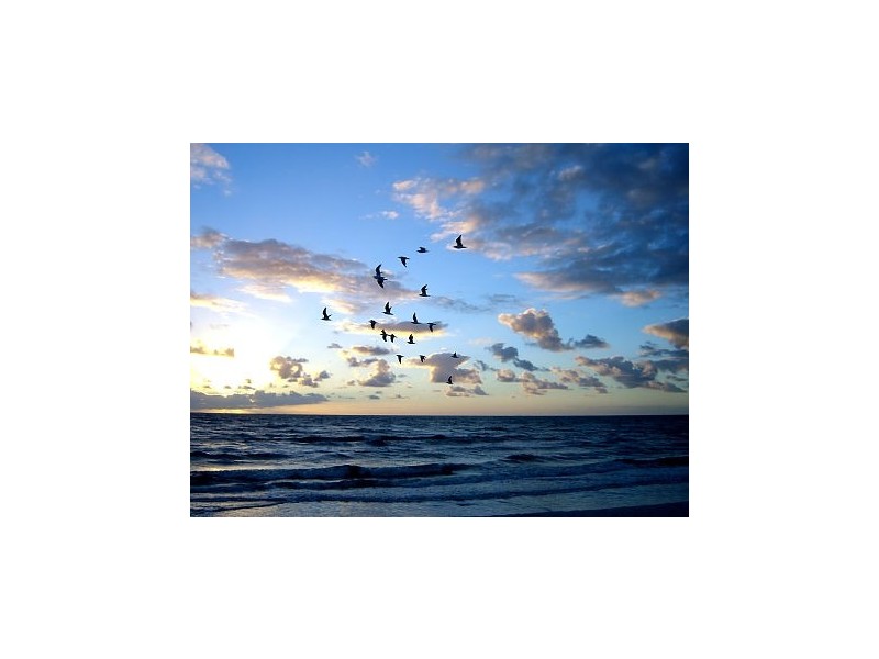 43 EDITHVALE ROAD,, Edithvale VIC 3196