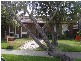 57 LARNOOK CRESCENT, Aspendale VIC 3195
