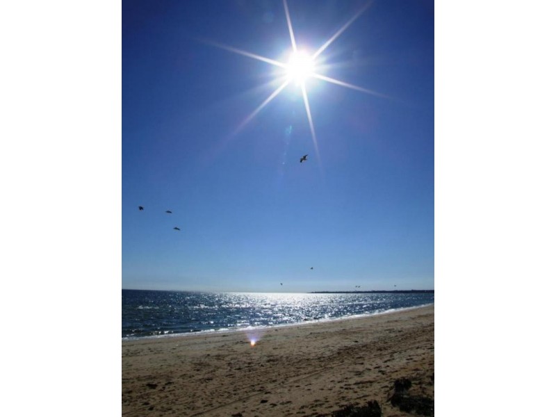 10 GLADSTONE AVENUE, Aspendale VIC 3195