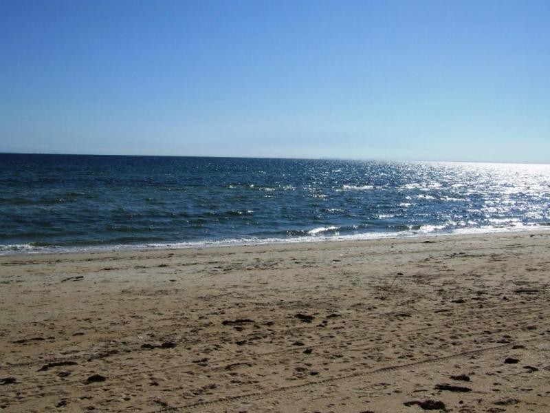 10 GLADSTONE AVENUE, Aspendale VIC 3195