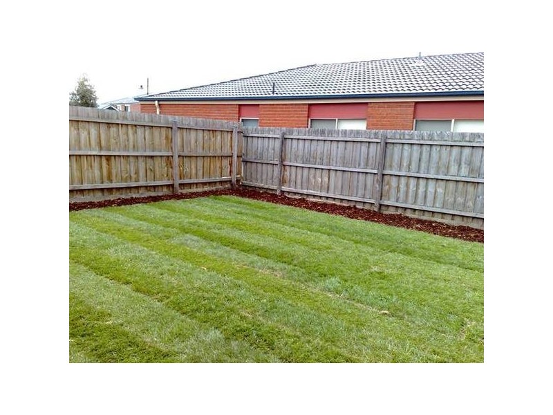 17 JENKINS STREET, Mordialloc VIC 3195