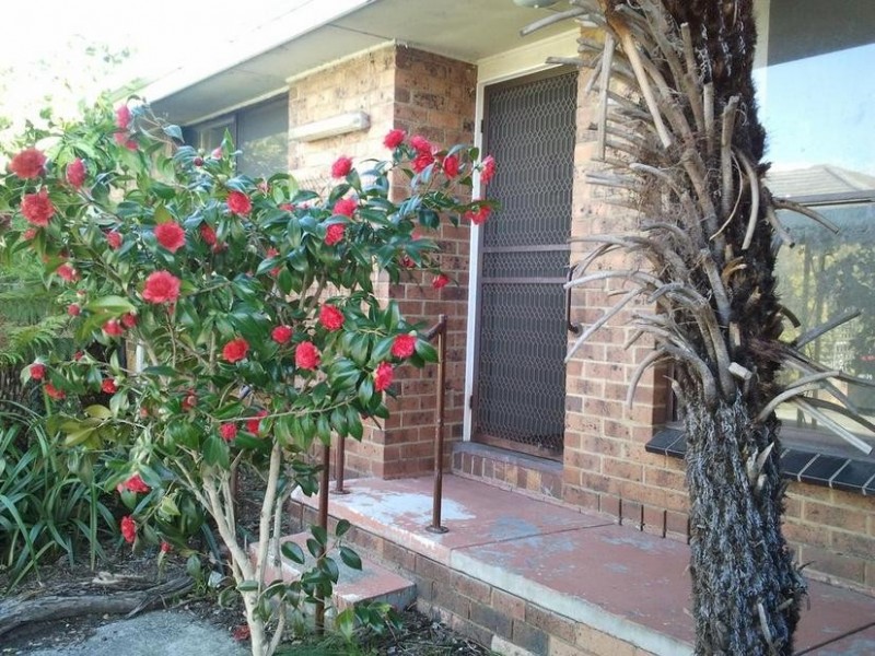 6/103-105 BARKLY STREET, Mordialloc VIC 3195