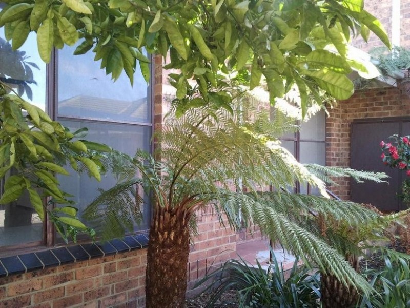 6/103-105 BARKLY STREET, Mordialloc VIC 3195