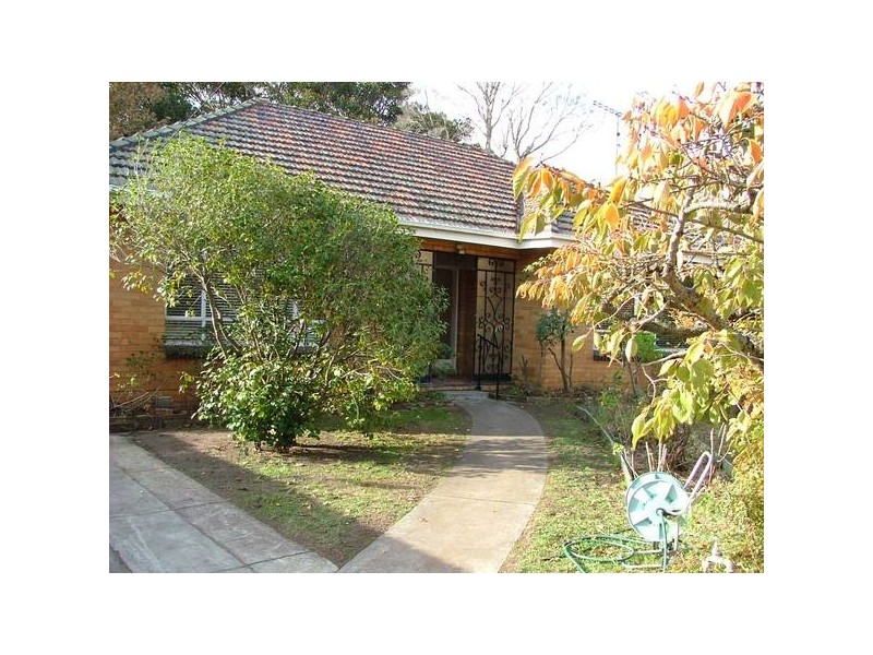 3 TYNEFIELD COURT, Brighton VIC 3186