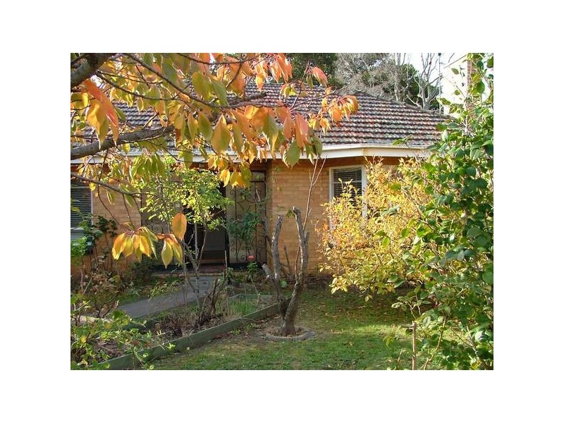 3 TYNEFIELD COURT, Brighton VIC 3186