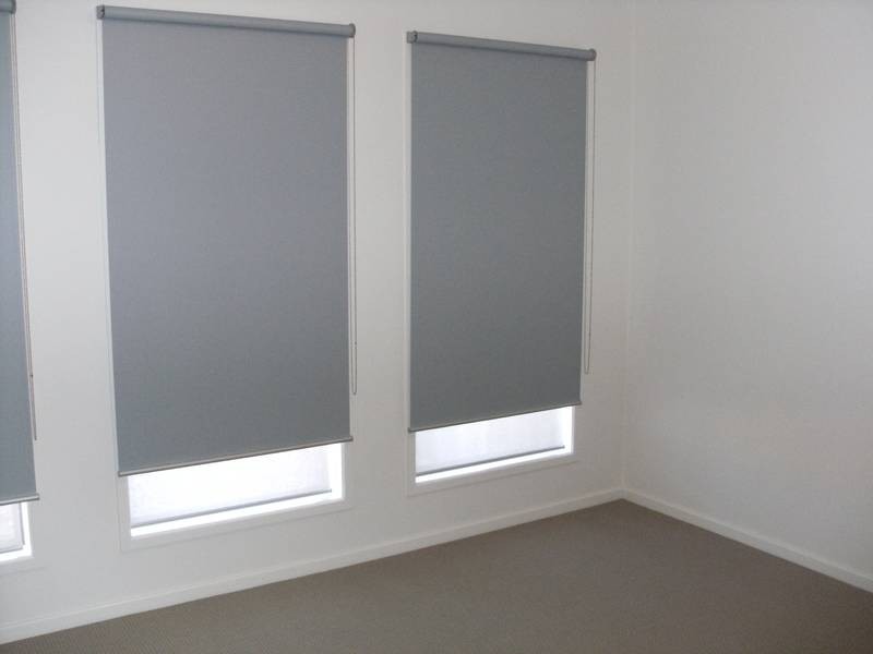 Indented Head VIC 3223