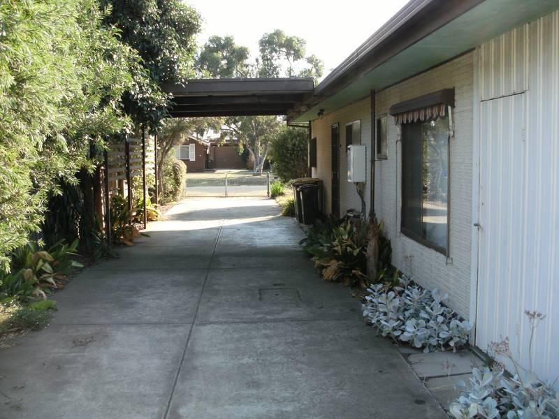 Indented Head VIC 3223