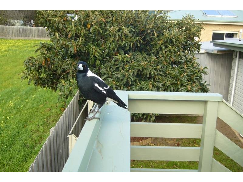 28 SMYTHE STREET, Portarlington VIC 3223