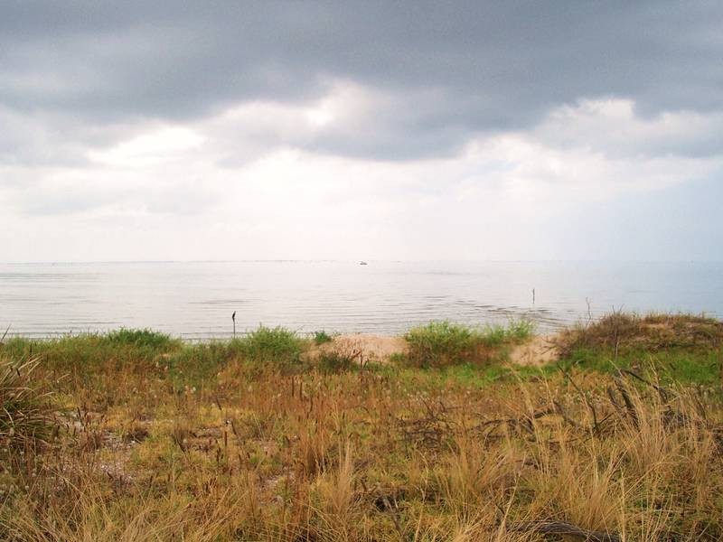 6 Arlington Street, Portarlington VIC 3223