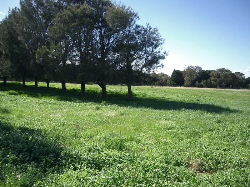 210 Pigdon Street, Portarlington VIC 3223