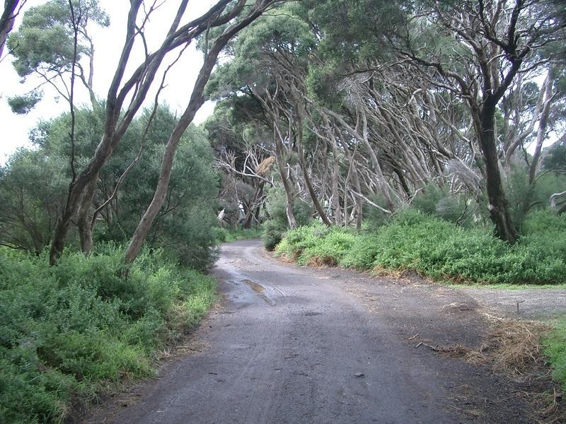 Lot 20,  Mc Donald Street, Indented Head VIC 3223