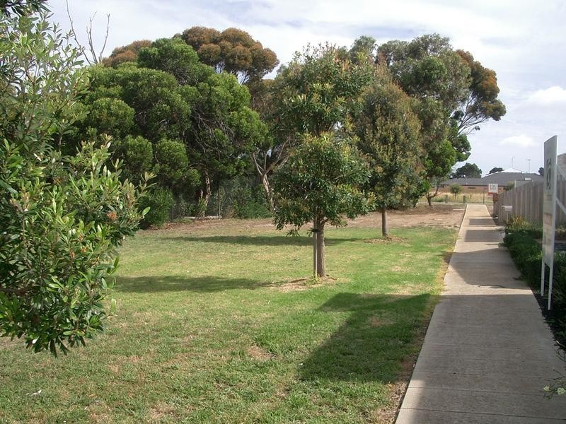 5 Halyard Terrace, St Leonards VIC 3223