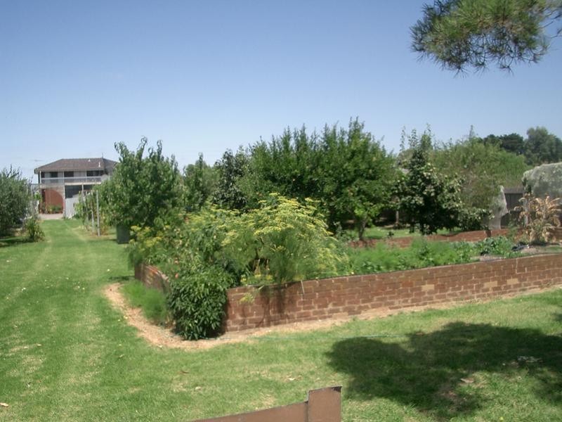 34 Payne Street, Portarlington VIC 3223