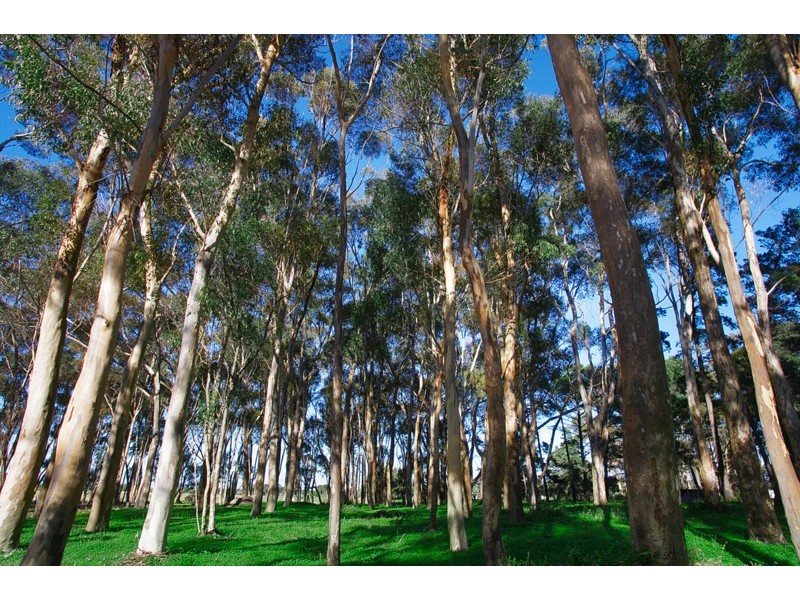 500 Tower Road, Portarlington VIC 3223