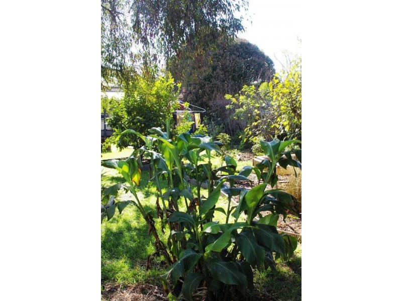 100 Fenwick Street, Portarlington VIC 3223