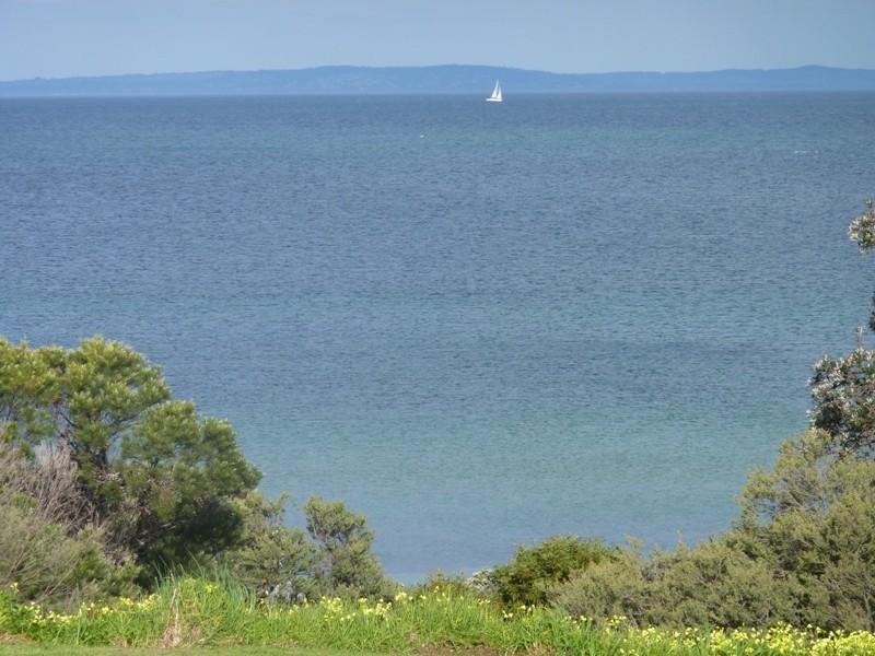 81 Bluff Road, St Leonards VIC 3223
