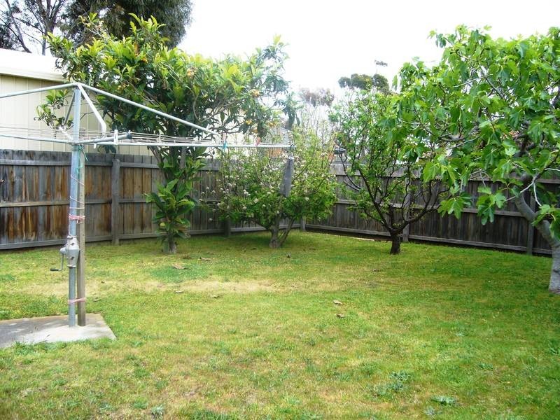 62 BLUFF ROAD, St Leonards VIC 3223