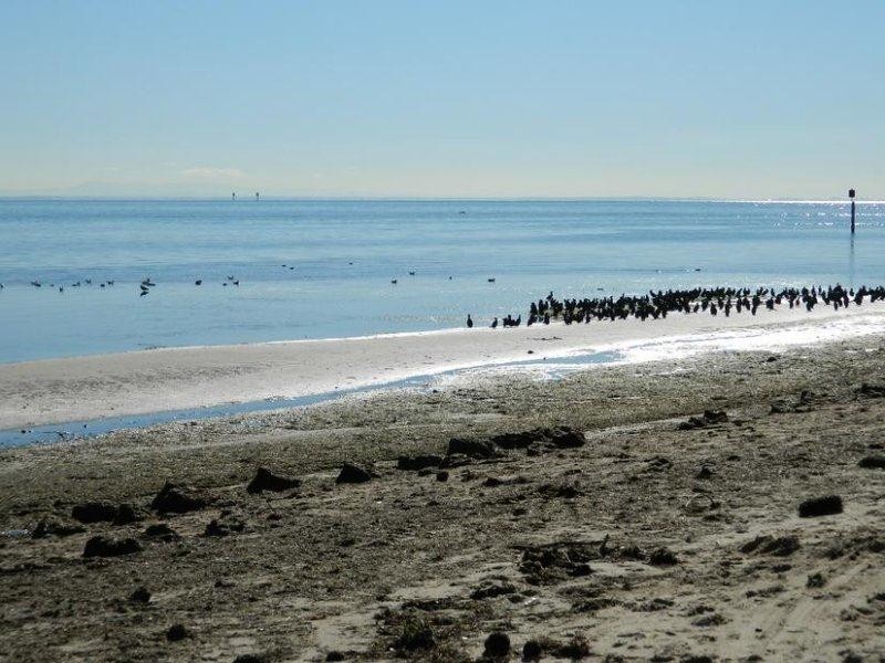 10 Ramblers Road, Portarlington VIC 3223