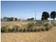 260 The Esplanade, Indented Head VIC 3223