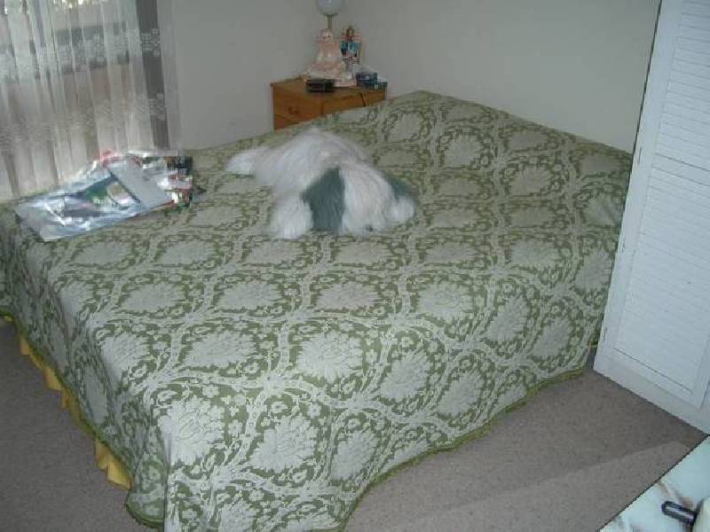 25 HEREFORD STREET, Portarlington VIC 3223