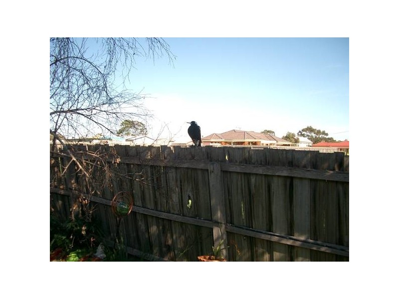 162 Willis Street, Portarlington VIC 3223