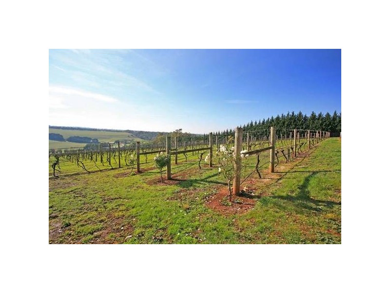 Waurn Ponds VIC 3216